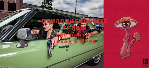 гидропоника Козельск