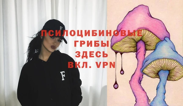 гидропоника Козельск